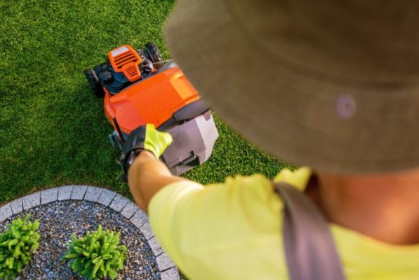come curare il prato primavera e bella stagione