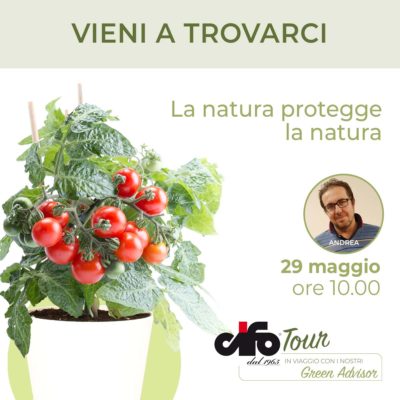 cifo tour 29 maggio da fasoli piante