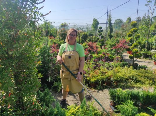 giardinaggio in sicurezza abbigliamento adatto fasoli piante