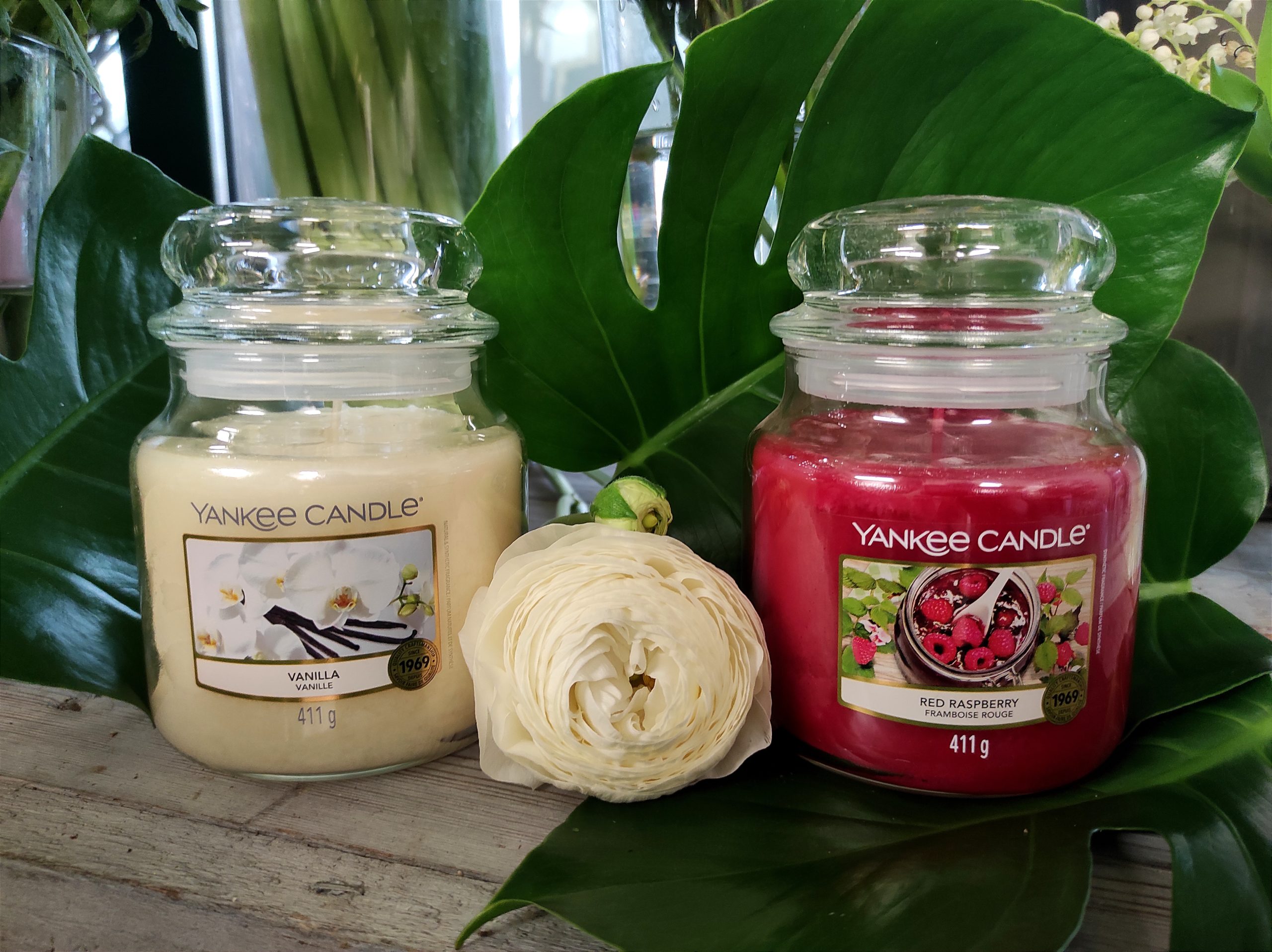 yankee candle in promozione maggio 2022 da fasoli piante