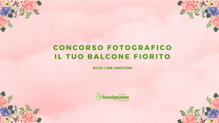 il tuo balcone fiorito vincitori contest