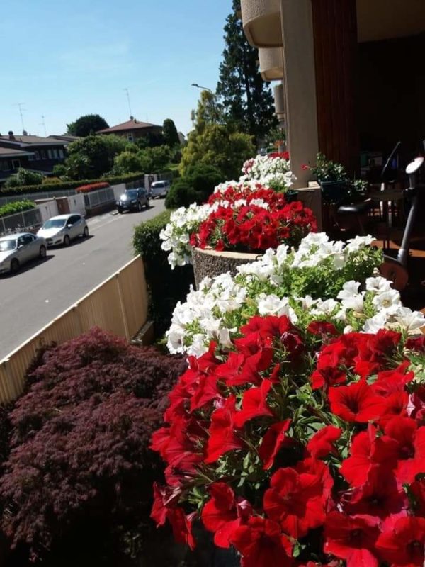 prima foto vincitrice contest fotografico il tuo balcone fiorito