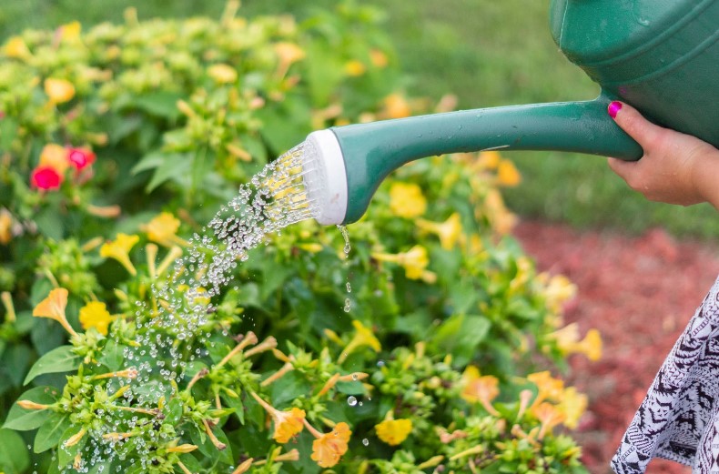 risparmiare acqua 10 idee