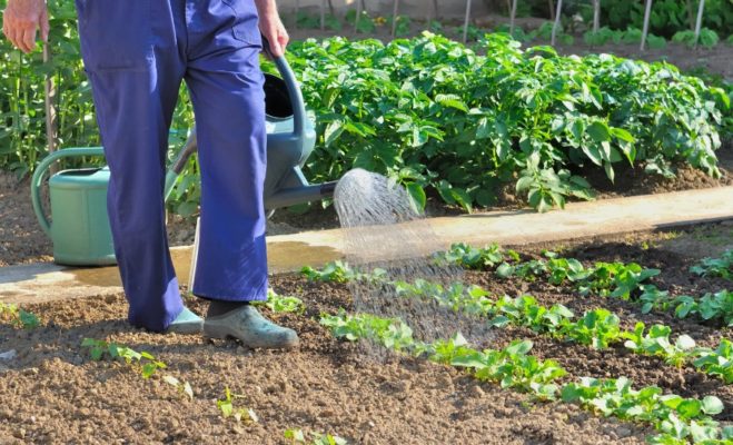 allarme acqua risparmio idrico evitare sprechi orto e giardino