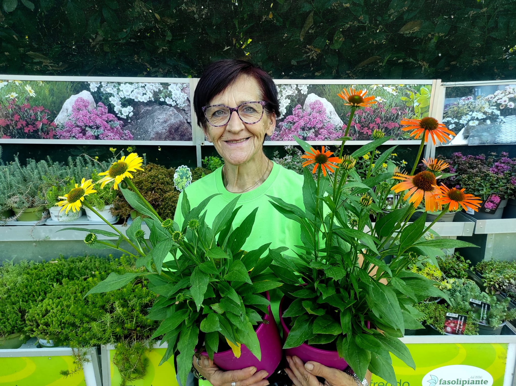 piante che richiedono poca acqua echinacea a risparmio idrico