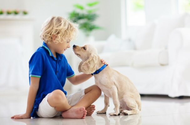 incontro con l'educatrice cinofila rapporto cane e bambino