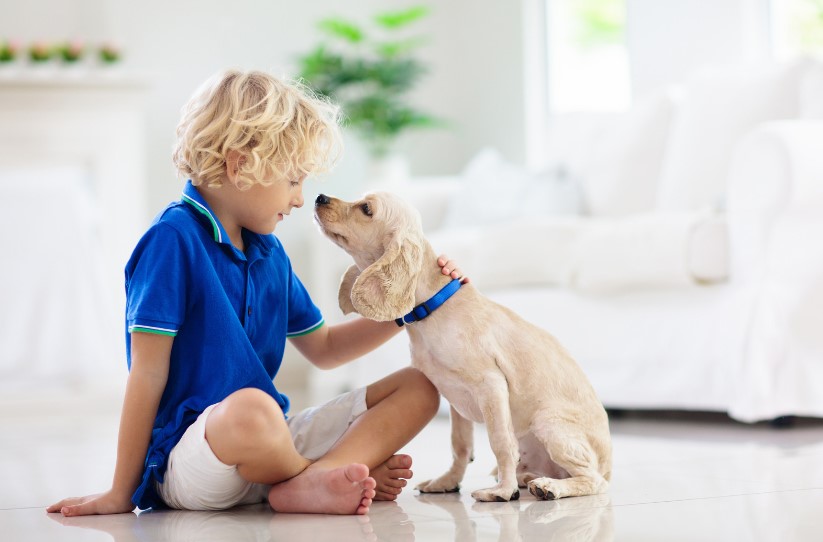 incontro con l'educatrice cinofila rapporto cane e bambino