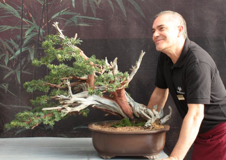 corso di bonsai con l'esperto Settembrini da Fasoli Piante