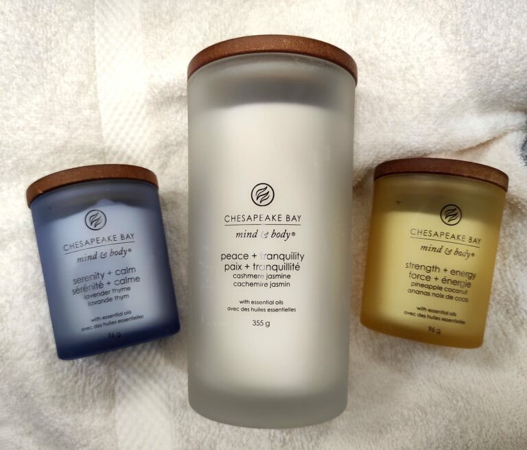 candele da spa chesapeake bay candle