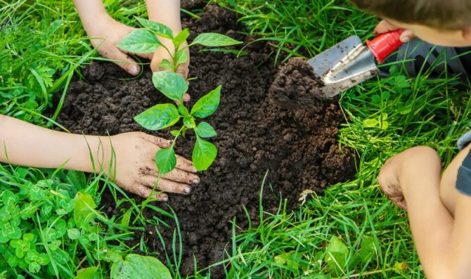 cosa sono i prodotti fitosanitari