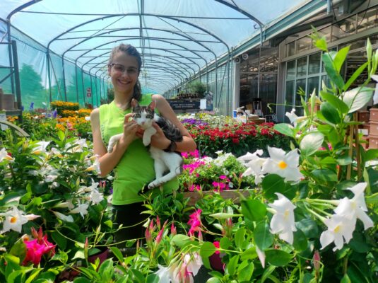 tutte le promo estive dal reparto Zoogarden