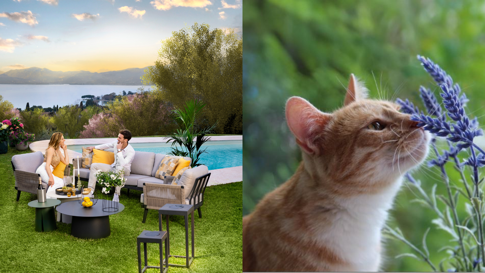 foto homepage volantini aprile-maggio 2024 (3)