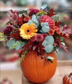 WORKSHOP PER ADULTI ZUCCA FIORITA